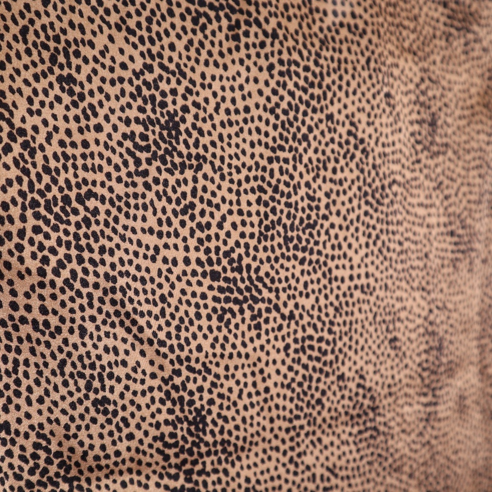 Leopard Blouse - Picture 6 of 7